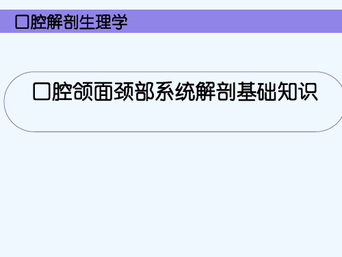 口腔颌面颈部系统解剖基础知识