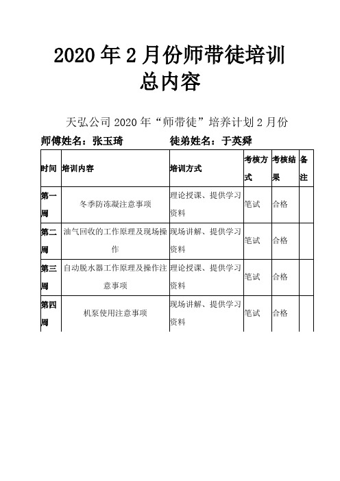 2020年化工公司2月师带徒培训总内容