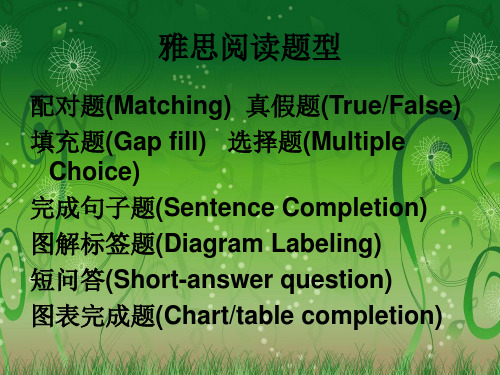 雅思阅读题型与技巧PPT幻灯片