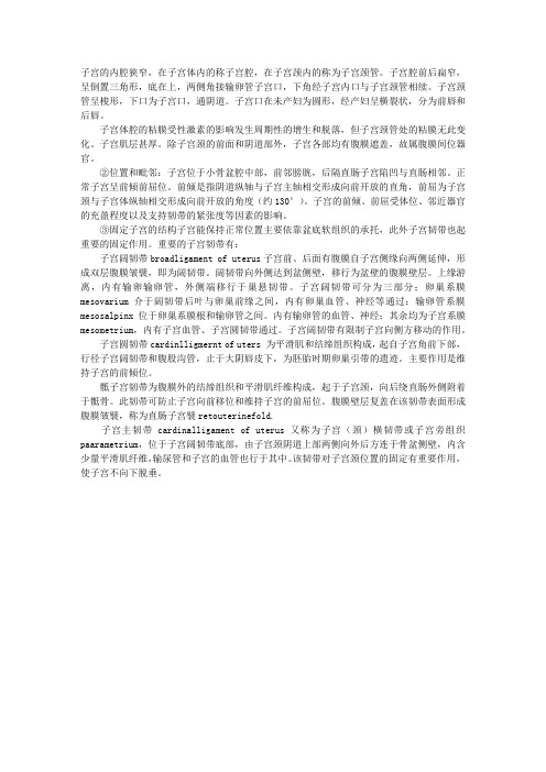 2012解剖学辅导指导：子宫的形态与结构功能简述