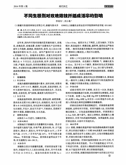 不同生根剂对玫瑰嫩枝扦插成活率的影响