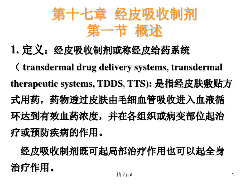 18经皮吸收制剂ppt课件