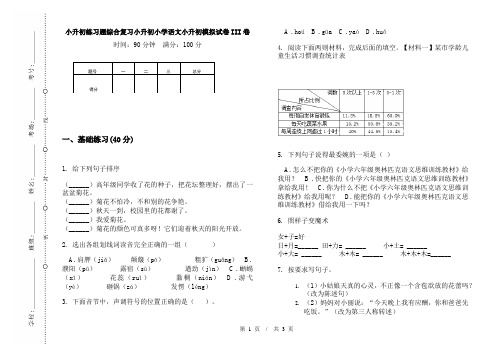 小升初练习题综合复习小升初小学语文小升初模拟试卷III卷