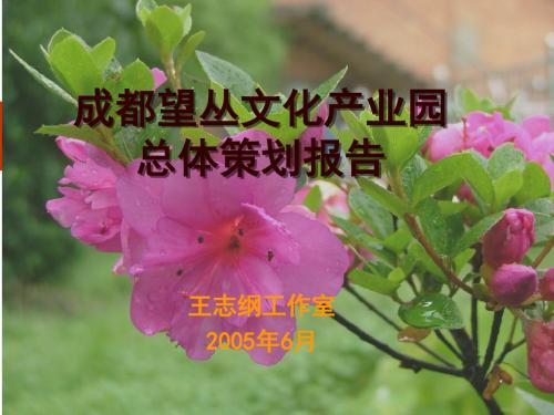【房地产】王志纲:成都望丛古蜀文化园总体策划报告