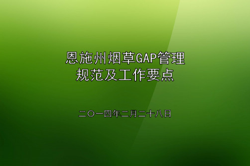 GAP管理规范及工作要点(20140208)