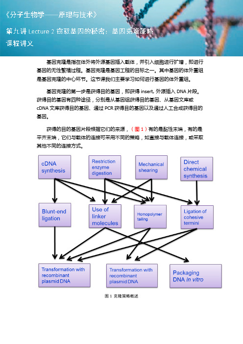 92第九讲_Lecture_2_窃取基因的秘密：基因克隆策略_讲义