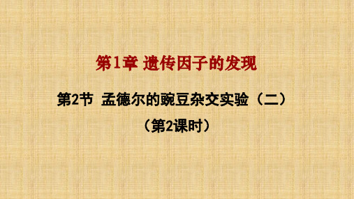 【公开课课件】孟德尔的豌豆杂交实验(二)课件高一下学期生物人教版必修2