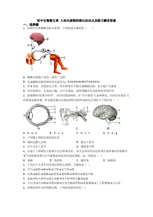 初中生物第五章 人体内废物的排出知识点及练习题含答案