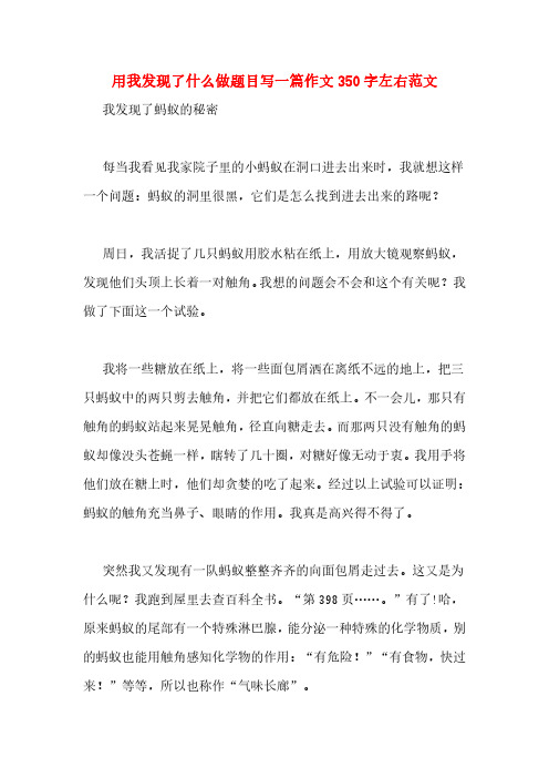 用我发现了什么做题目写一篇作文350字左右范文