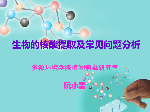 1生物的核酸提取及常见的问题