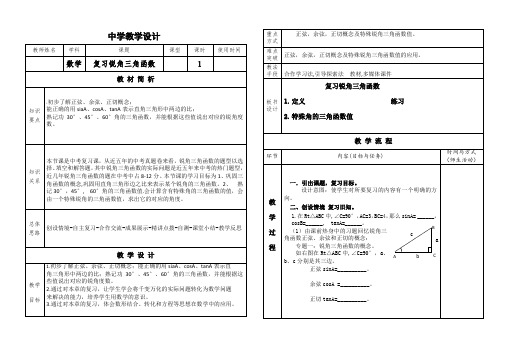 锐角三角函数复习教案