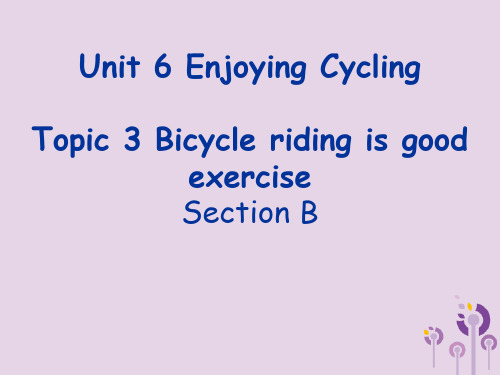 八年级英语Unit6EnjoyingCyclingTopic3bicycleridingisgoodexerciseSectionB教学课件