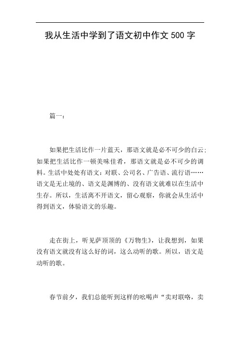 我从生活中学到了语文初中作文500字
