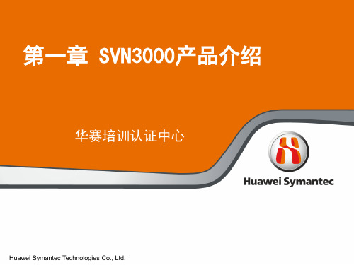 华为 SVN3000产品介绍