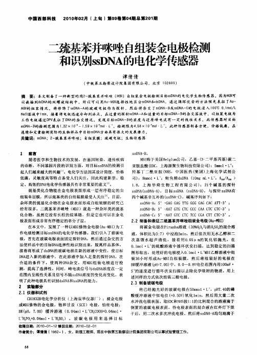 二巯基苯并咪唑自组装金电极检测和识别ssDNA的电化学传感器