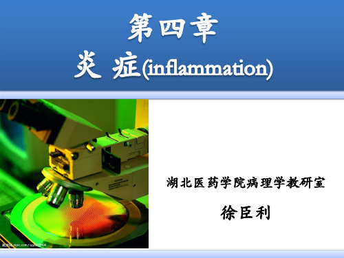 病理学(第八版)最新课件炎症