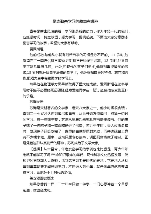 励志勤奋学习的故事有哪些