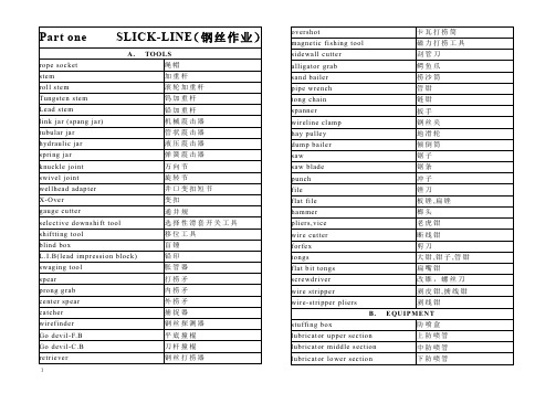 中英试井专业手册打印