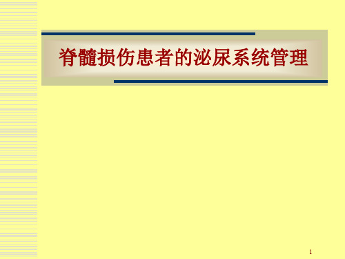 脊髓损伤患者泌尿系统管理