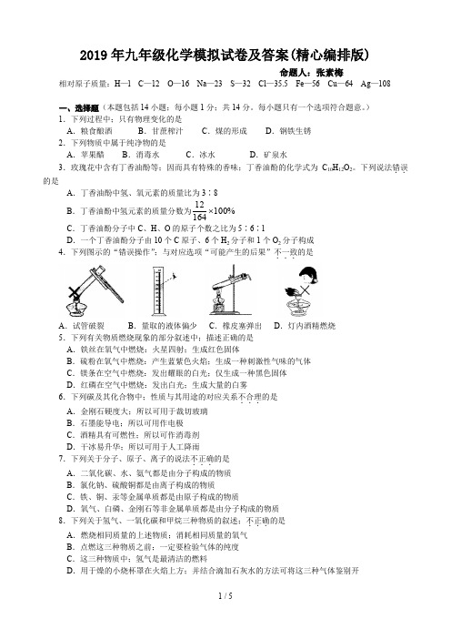 2019年九年级化学模拟试卷及答案(精心编排版)