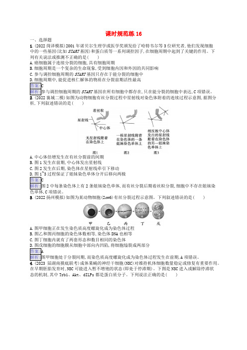 适用于新教材2024版高考生物一轮总复习课时规范练16细胞的增殖新人教版