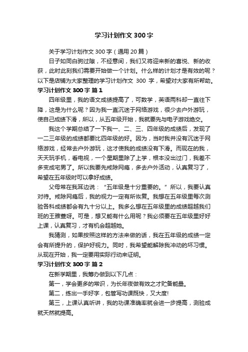 学习计划作文300字