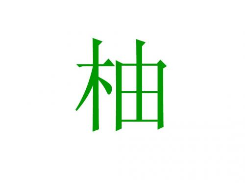 琯溪蜜柚