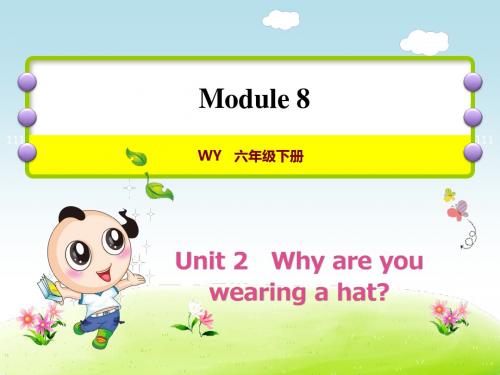 外研小学英语六年级下册Module8Unit2 Why are you wearing a hat授课课件