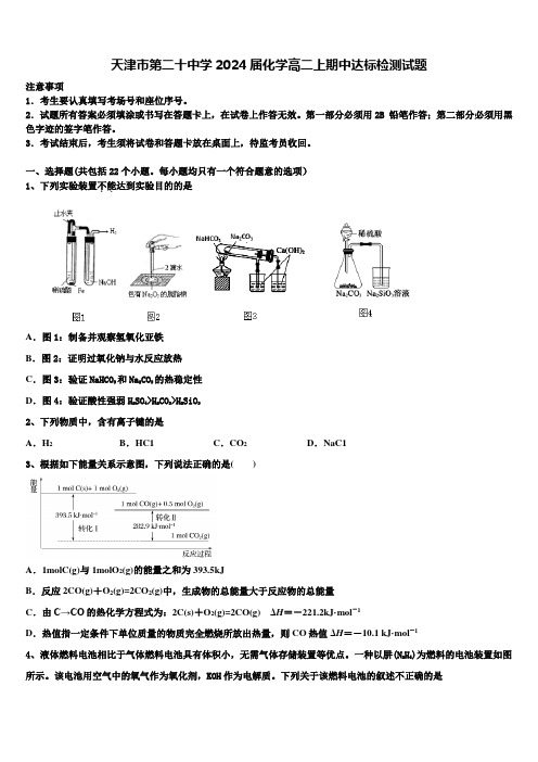 天津市第二十中学2024届化学高二上期中达标检测试题含解析