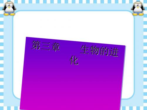《生物的进化》教学课件21 人教版