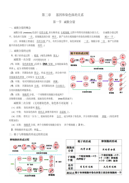 高中生物必修二-第二章-知识点总结