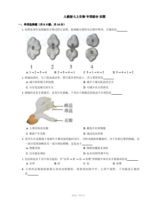 人教版七上生物 专项综合 识图(word版 含答案)