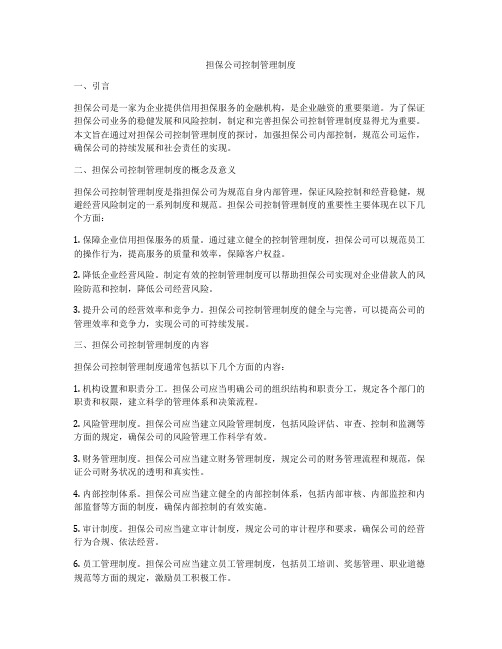 担保公司控制管理制度