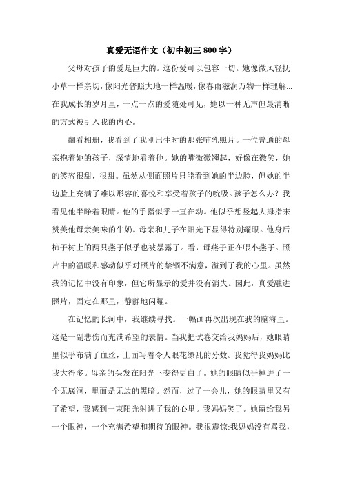 真爱无语作文(初中初三800字).doc