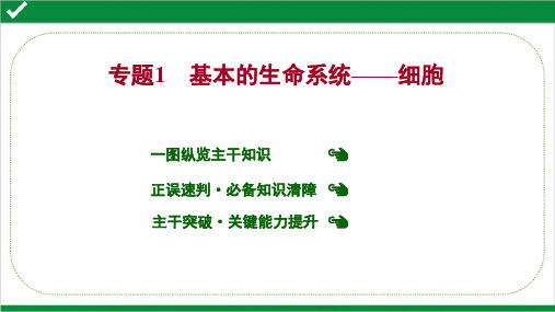 2022年高考生物二轮复习专题1  第1讲 基本的生命系统——细胞