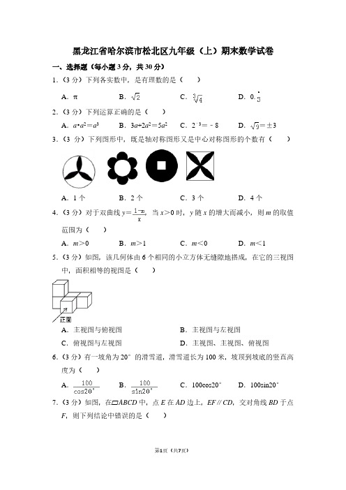 黑龙江省哈尔滨市松北区九年级(上)期末数学试卷