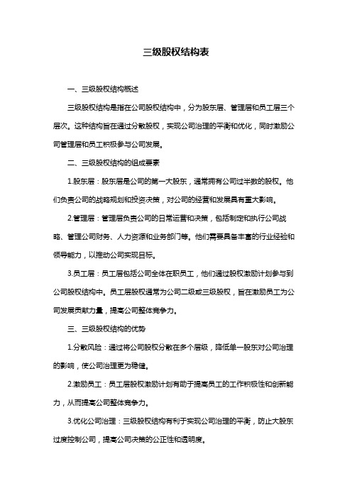 三级股权结构表