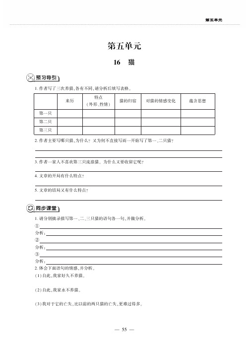 2019年秋人教部编版七年级上册语文同步练习:16 猫 郑振铎(PDF版,无答案)