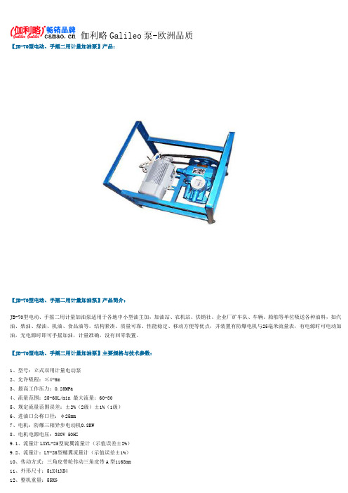 电动手摇二用计量加油泵型号及参数