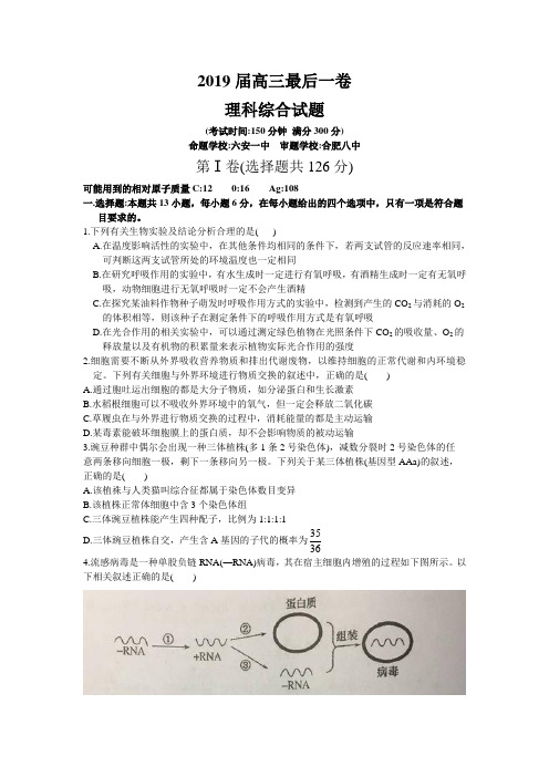 安徽省六安市第一中学、合肥八中、阜阳一中三校2019届高三最后一卷理科综合试题word版含答案