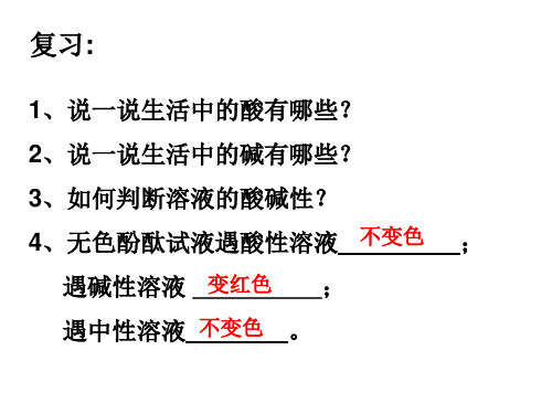 重要的酸(PPT课件(初中科学)38)