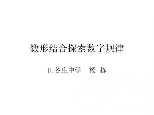 数形结合探索数字规律