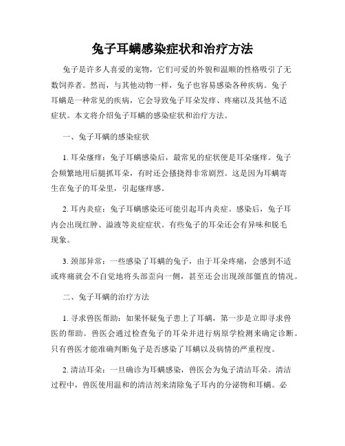 兔子耳螨感染症状和治疗方法