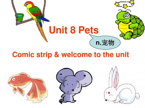 牛津译林版7B Unit8 Pets welcome to the unit&comic strip课件(共31张PPT)