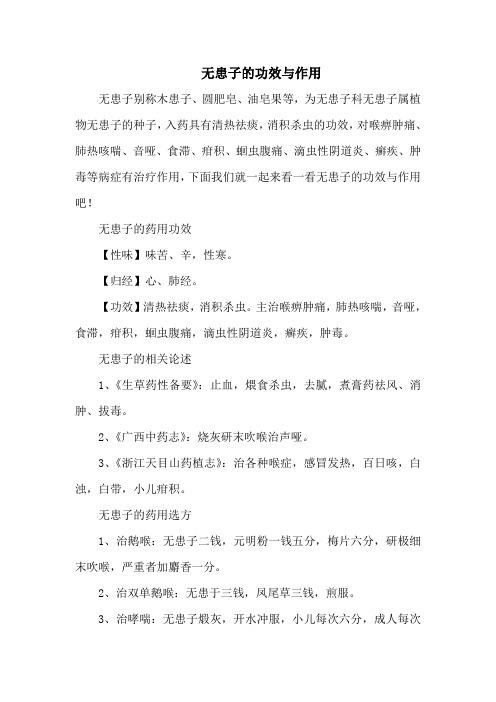 无患子的功效与作用