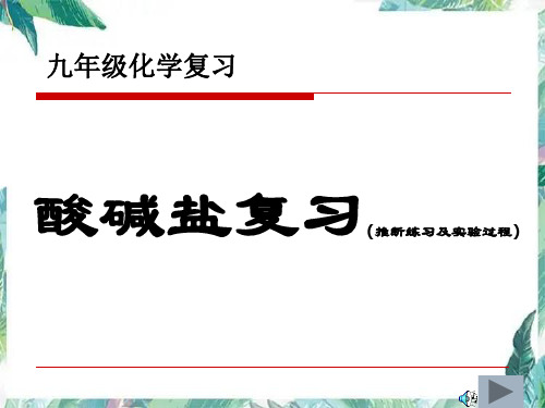 化学九年级专题复习酸碱盐知识点复习