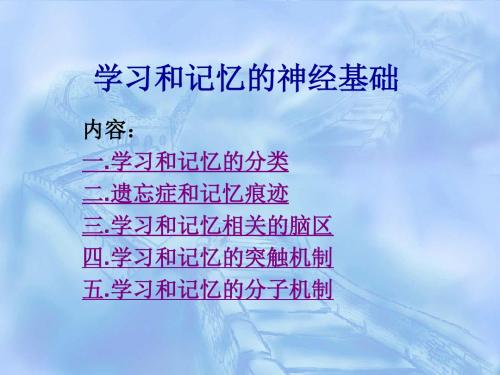 学习和记忆的神经基础