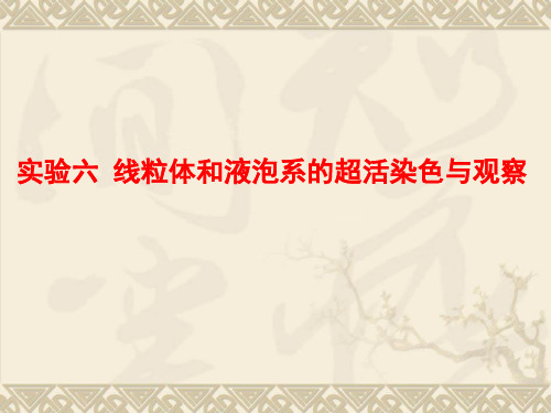 实验6线粒体和液泡系的超活染色与观察-文档资料