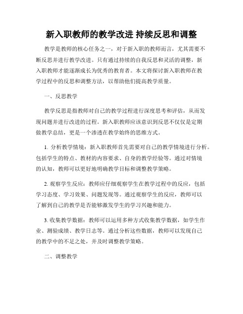 新入职教师的教学改进 持续反思和调整