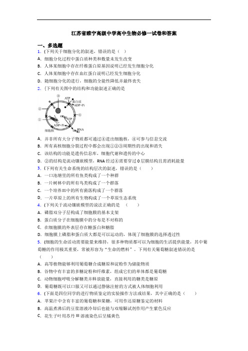 江苏省睢宁高级中学高中生物必修一试卷和答案